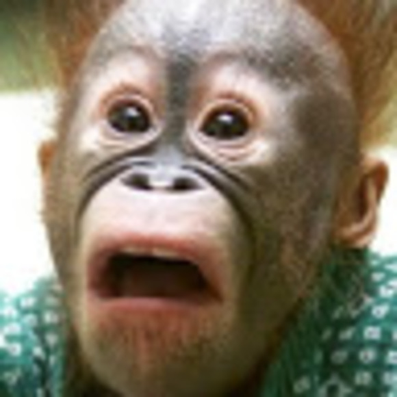 Meet your Posher, Nick - Picture 1 of 1